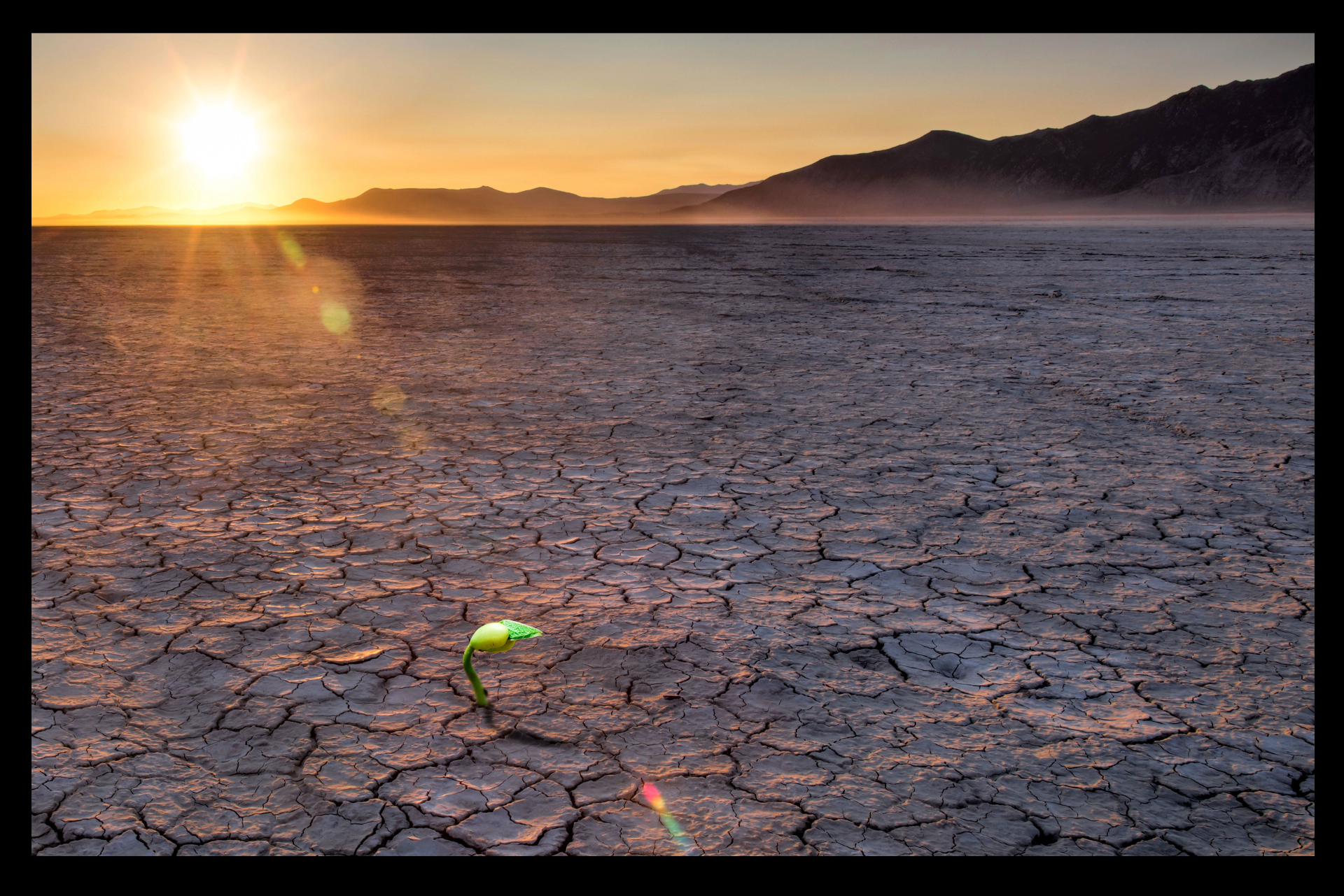 'Sunset on the Black Rock Desert' (Photo by Ron Worobec)